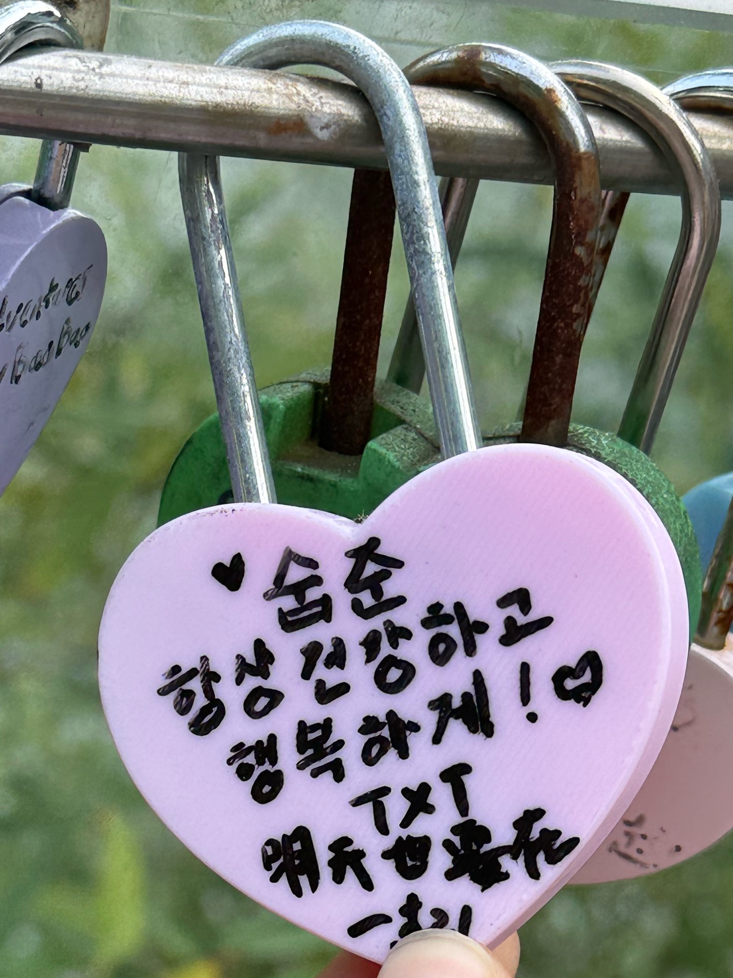南山塔偶遇小鸡杰作 ​​​
