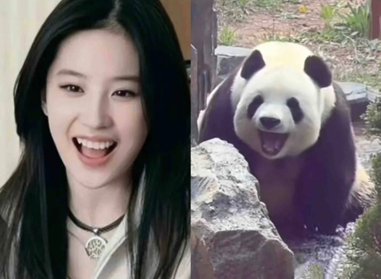 🐼和黄亦玫同款 都是我喜欢的元素耶一把子期待了刘亦菲玫瑰的故事这红利也太多了吧