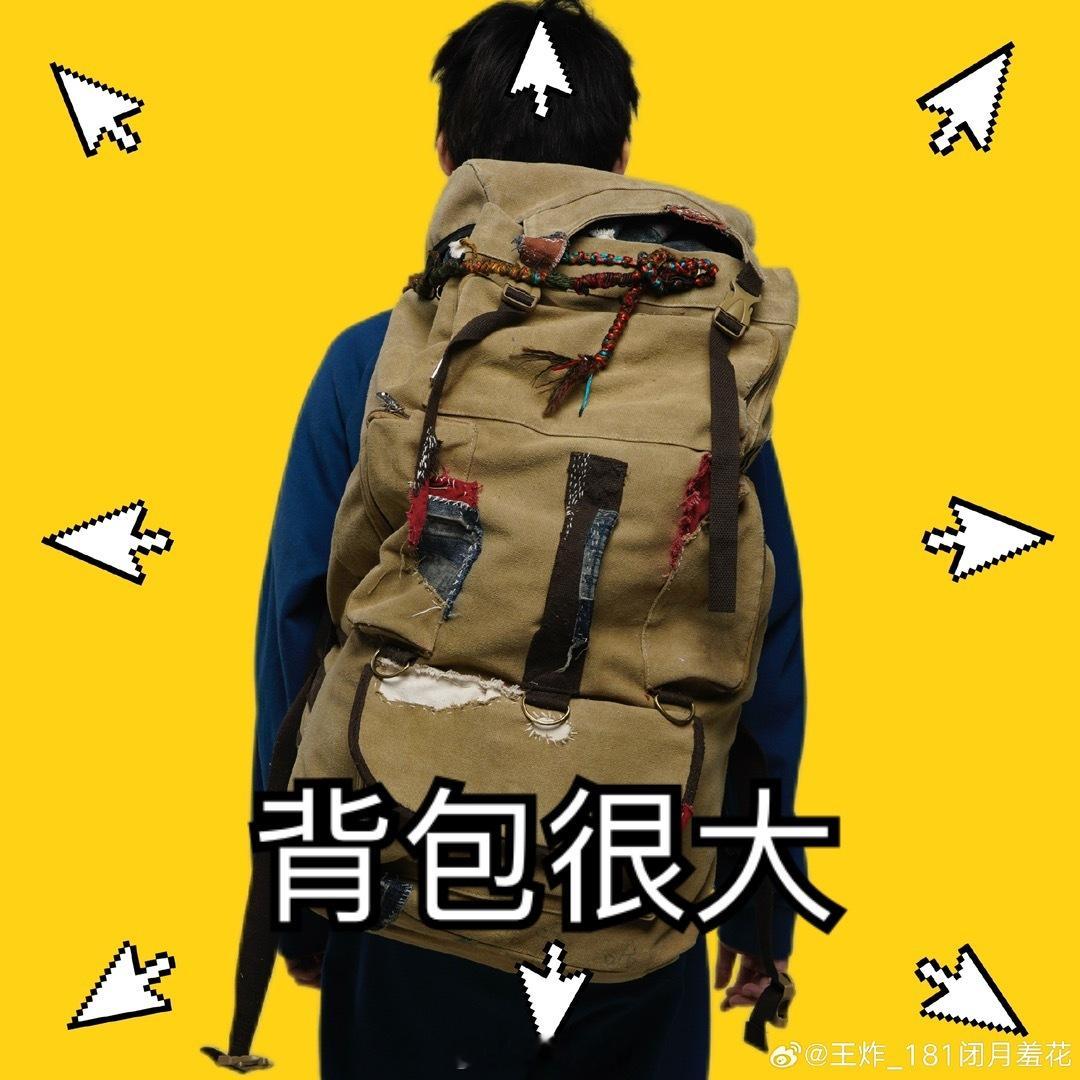 [悲伤]#王炸背包里是爸妈的骨灰盒# 其实之前就有很多伏笔了，为什么忙大姐跟诚勇