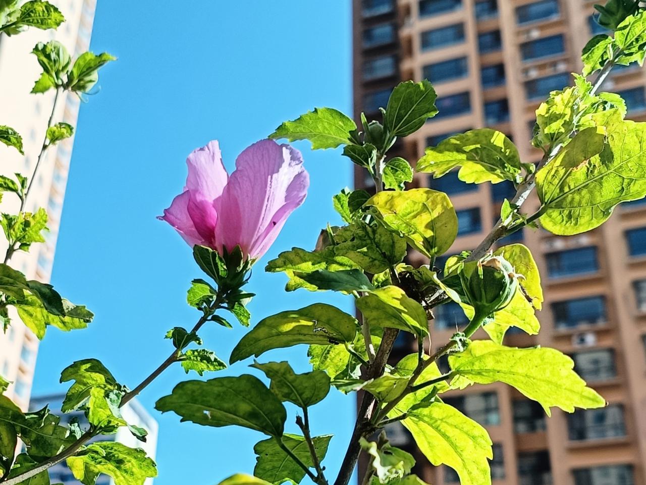 今天像枚陀螺，时时刻刻在转。生命不息，转动不停。
就这样吧，忙忙碌碌的。
不必说
