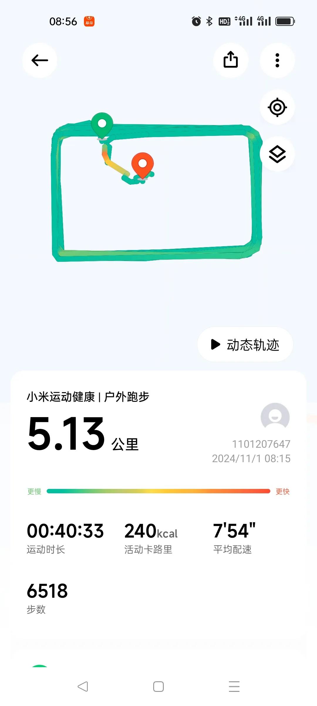 #秋日生活记录#11月1日，晨跑5公里，室外有风，落叶随风飘零，空气中尘土飞扬，