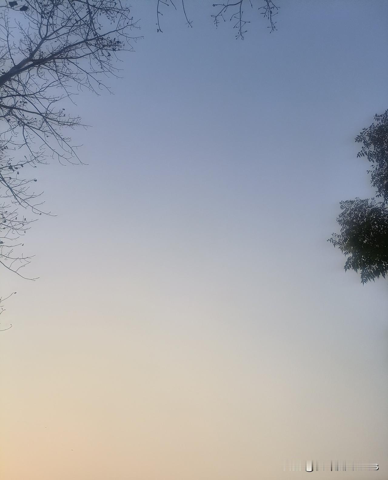 员工食堂吃鱼身亡，工伤认定遭拒！工伤认定的边界在哪里？


近日，看到一则新闻，