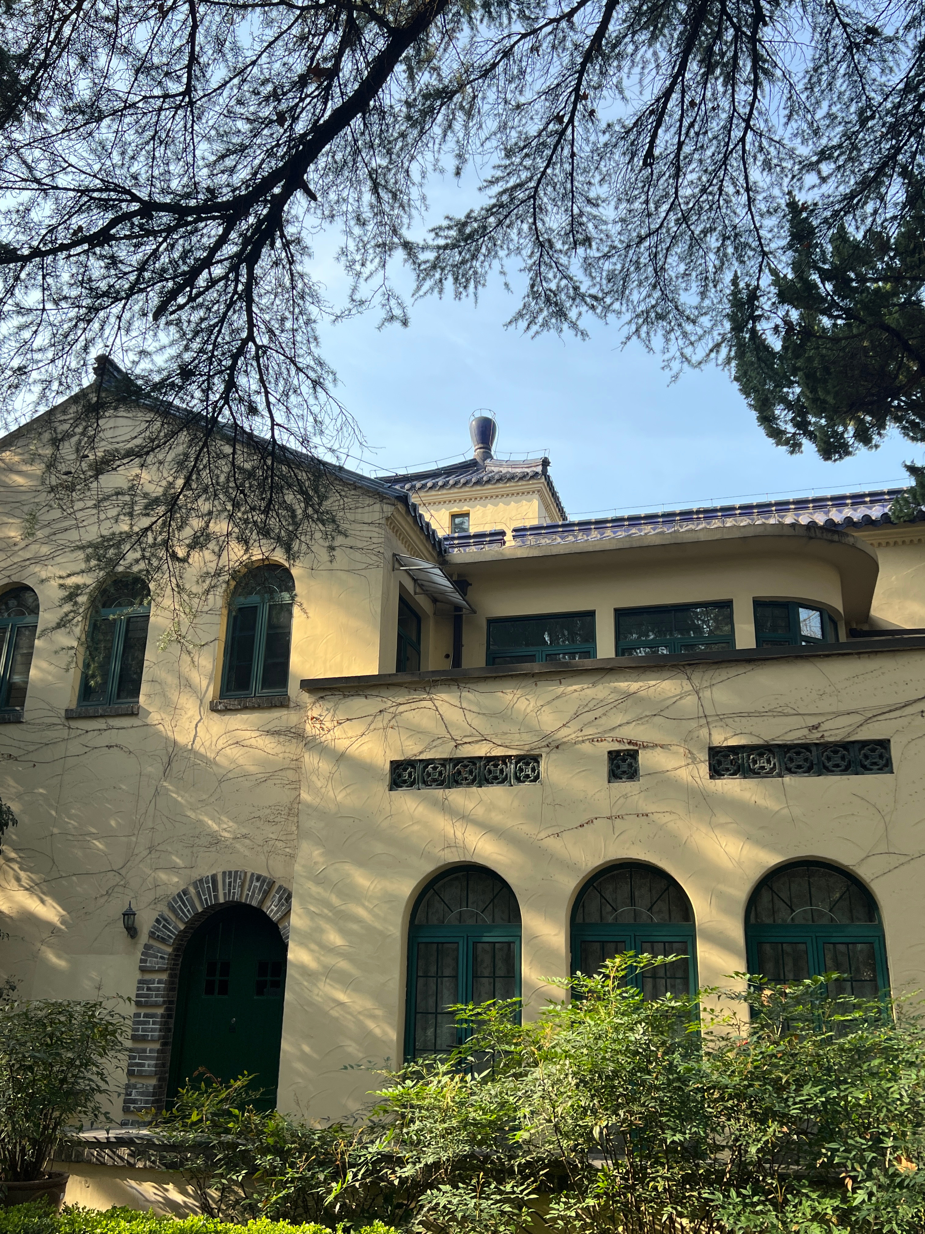 早春🌸 给你 我眼中的世界