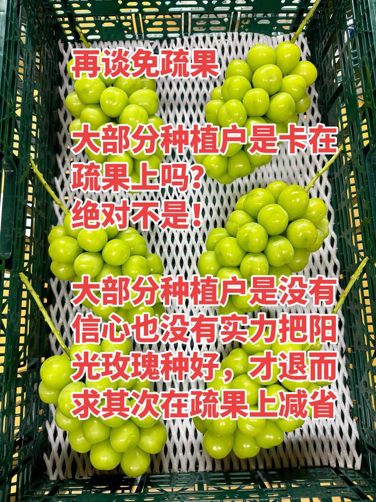 打着免疏果实则卖农资把种植户绑起来任人摆布，如果靠农资套餐就能把阳光玫瑰种好，市