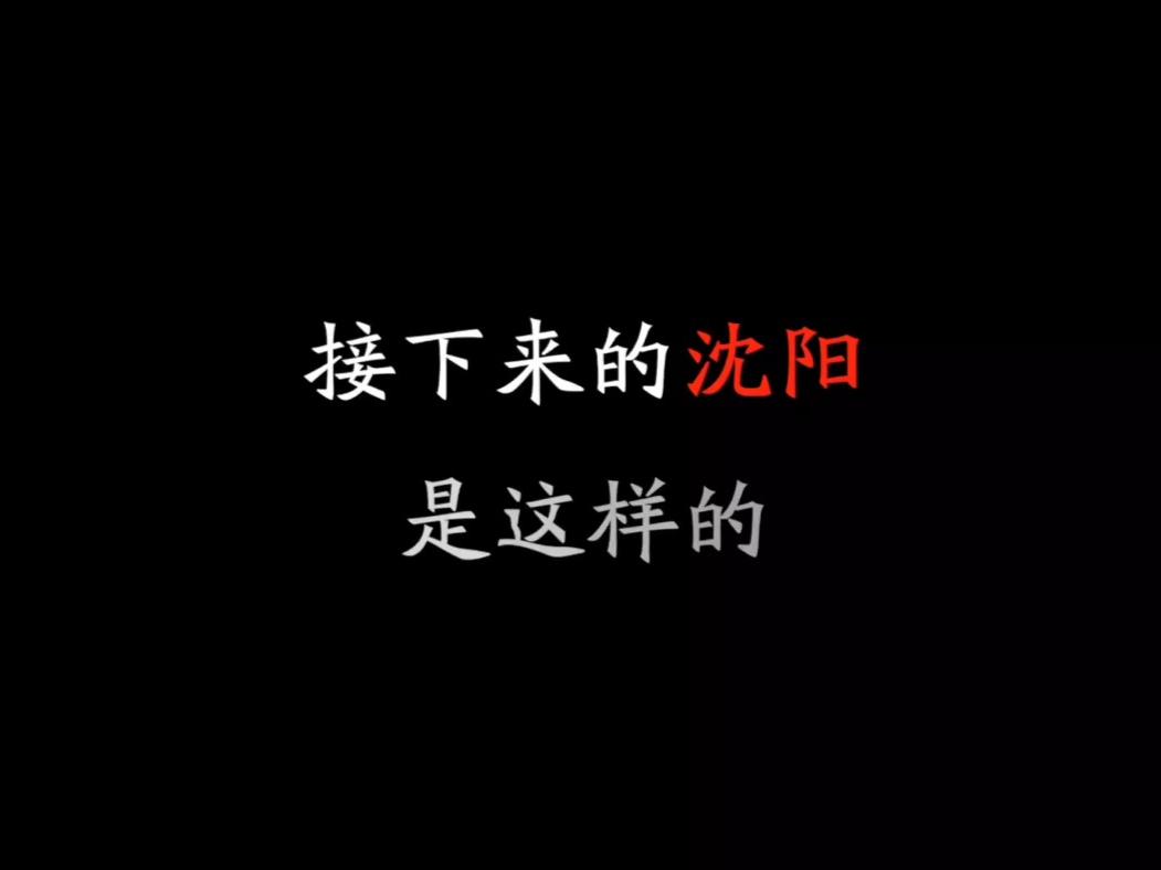 接下来的沈阳是这样的（作者）