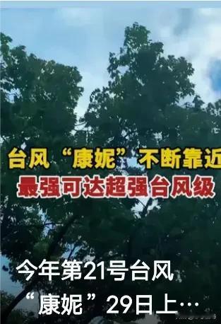 神秘的天气力量正缓缓逼近我国东部沿海地区！大家还记得那场曾带来巨大威胁的台风吗？