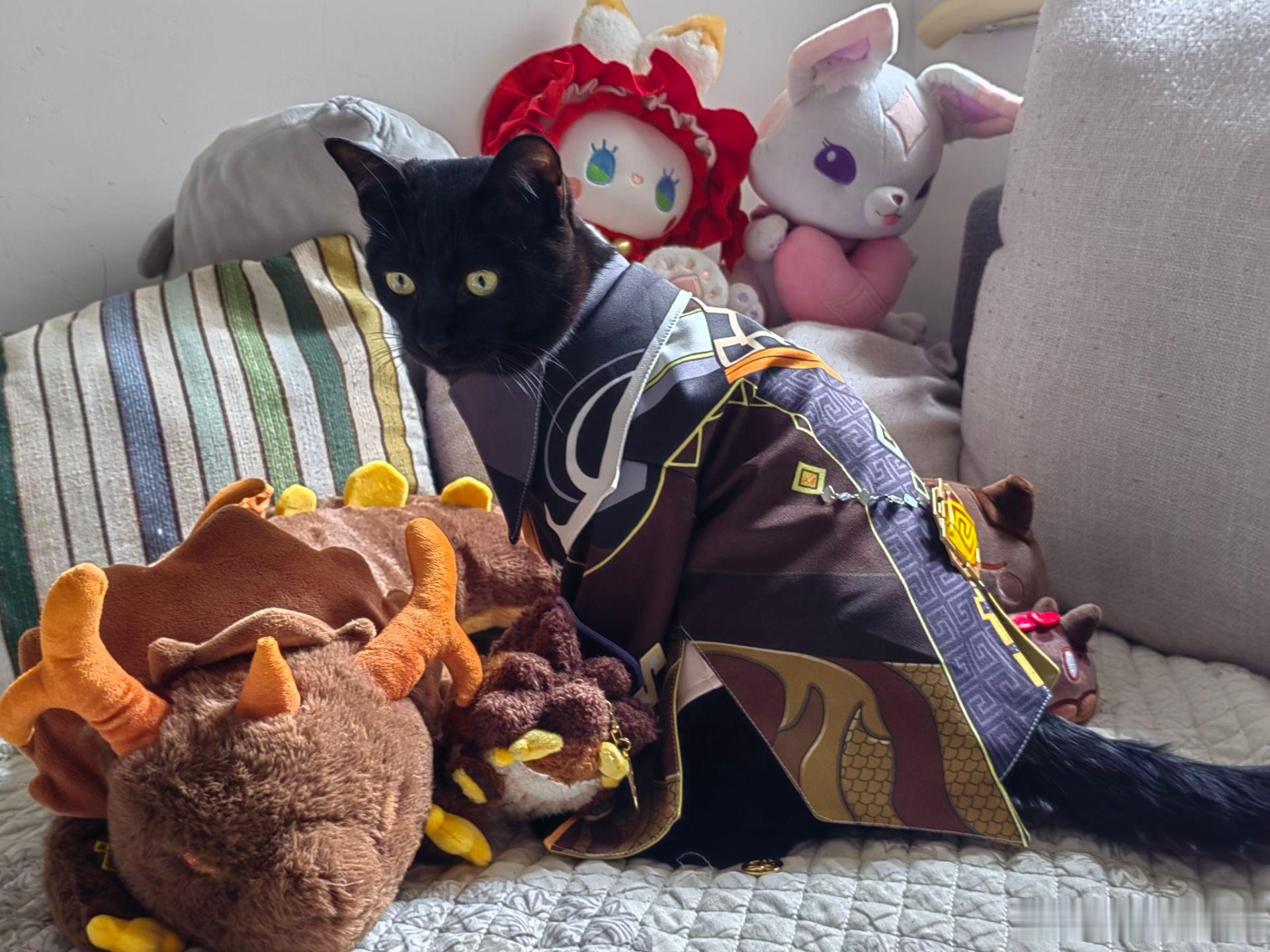 【喵虽无意逐鹿】感谢@ －ELIZER－ 猫猫宋越提供钟离炊金馔玉钟离
