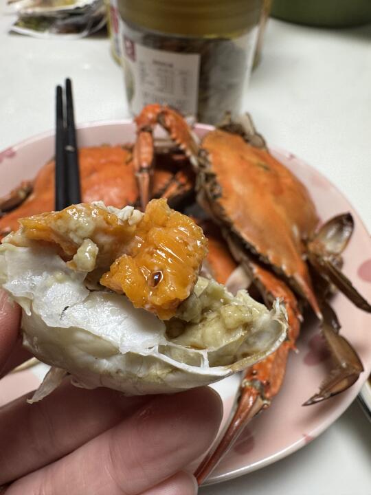 梭子蟹🦀
