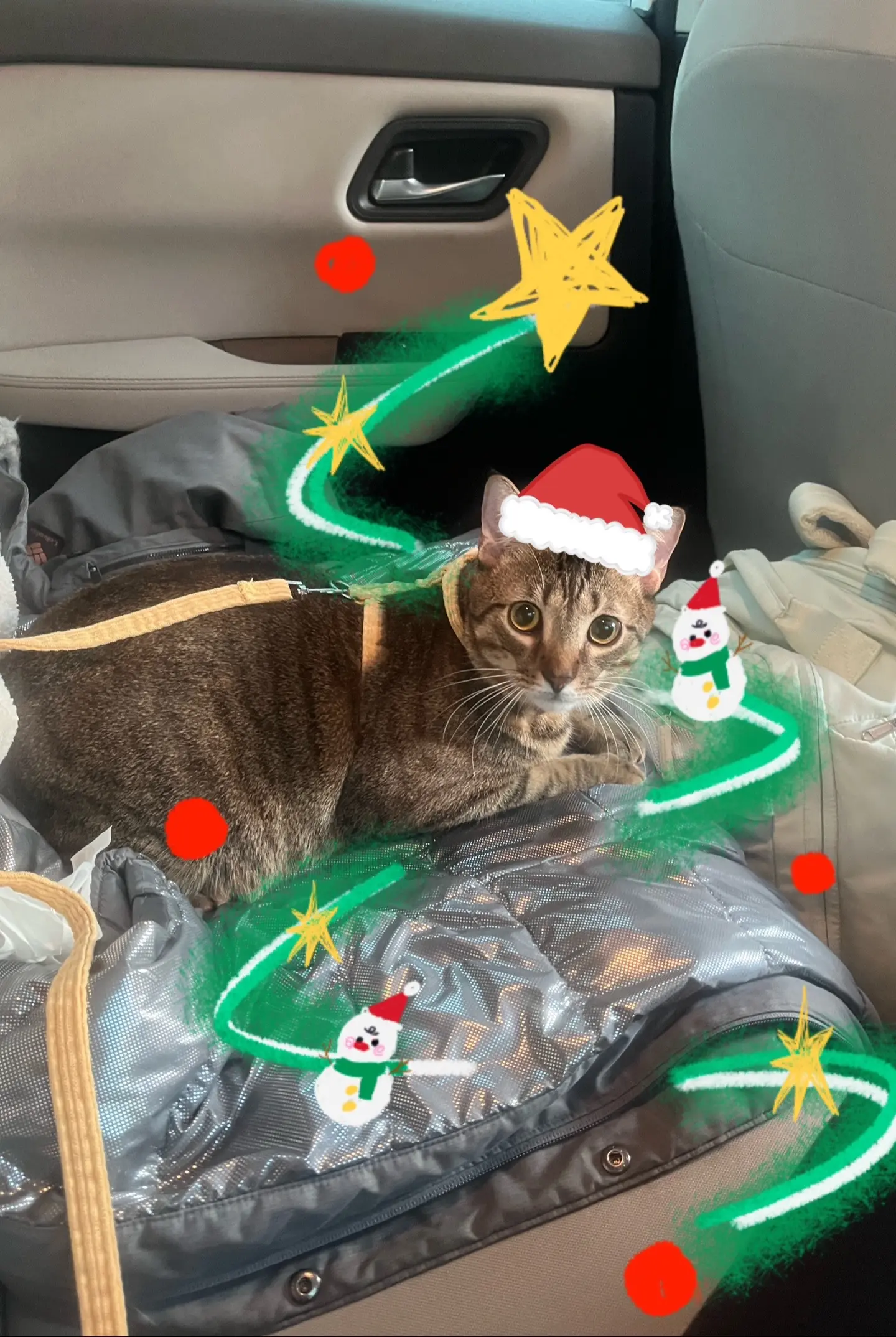 如果不在意歌词的话，这是一个很好的圣诞歌。近期一些生活分享～这大概是一...