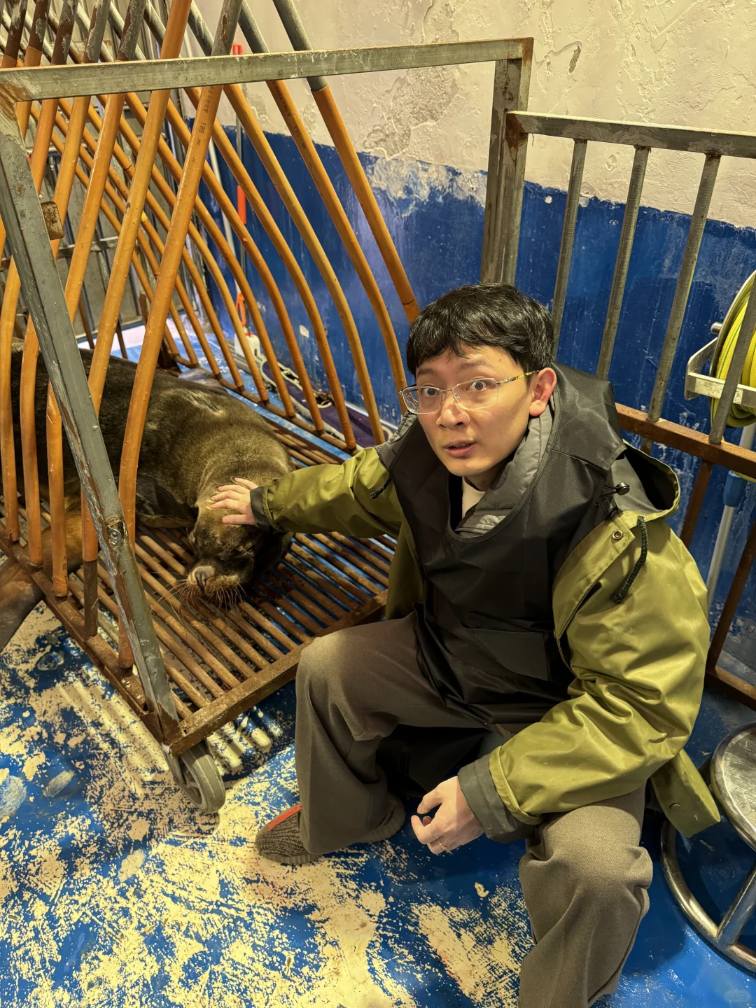 狮口拔牙