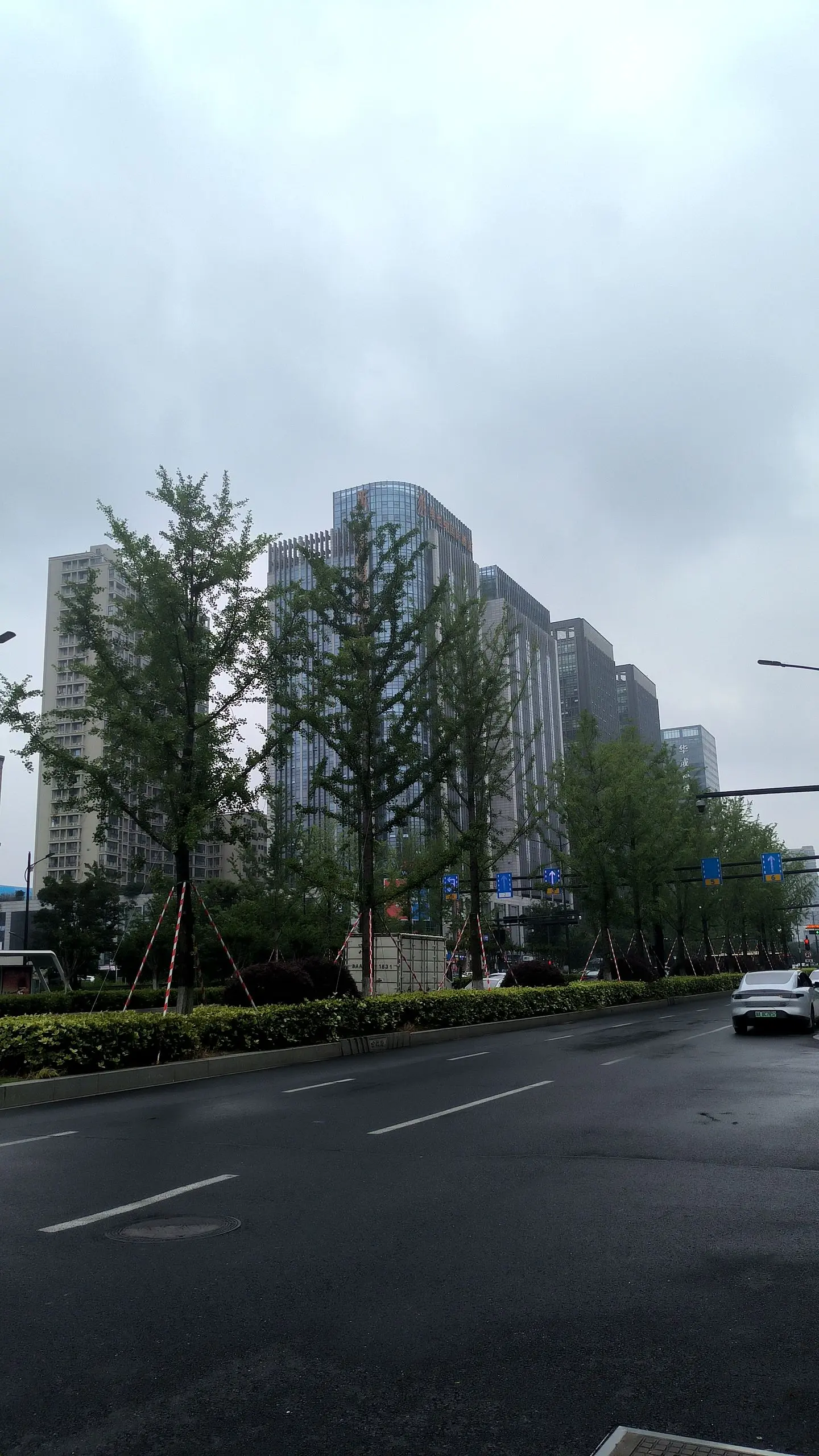 每日分享