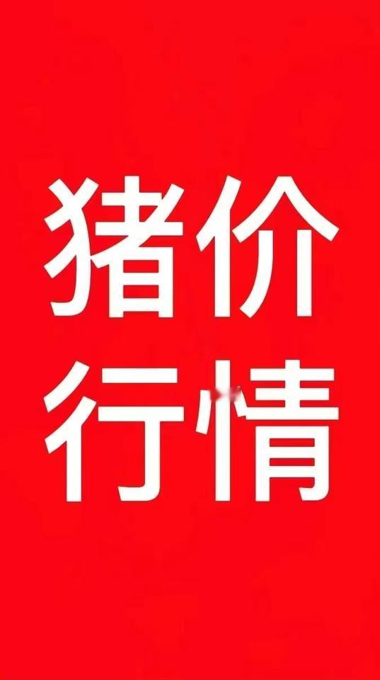 今日全国猪价！猪 猪价