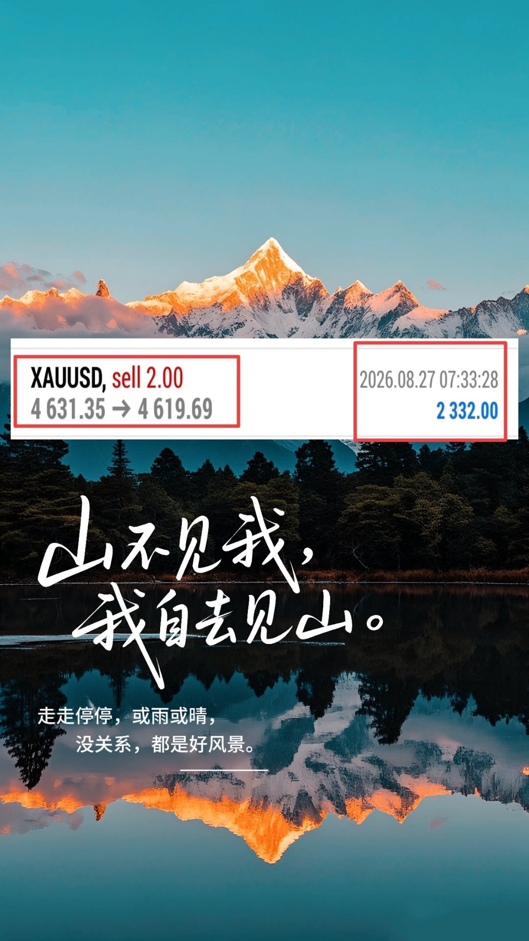 黄金波段五连胜：4631空单入场，4619止营离场，12美元空间，落袋2300刀