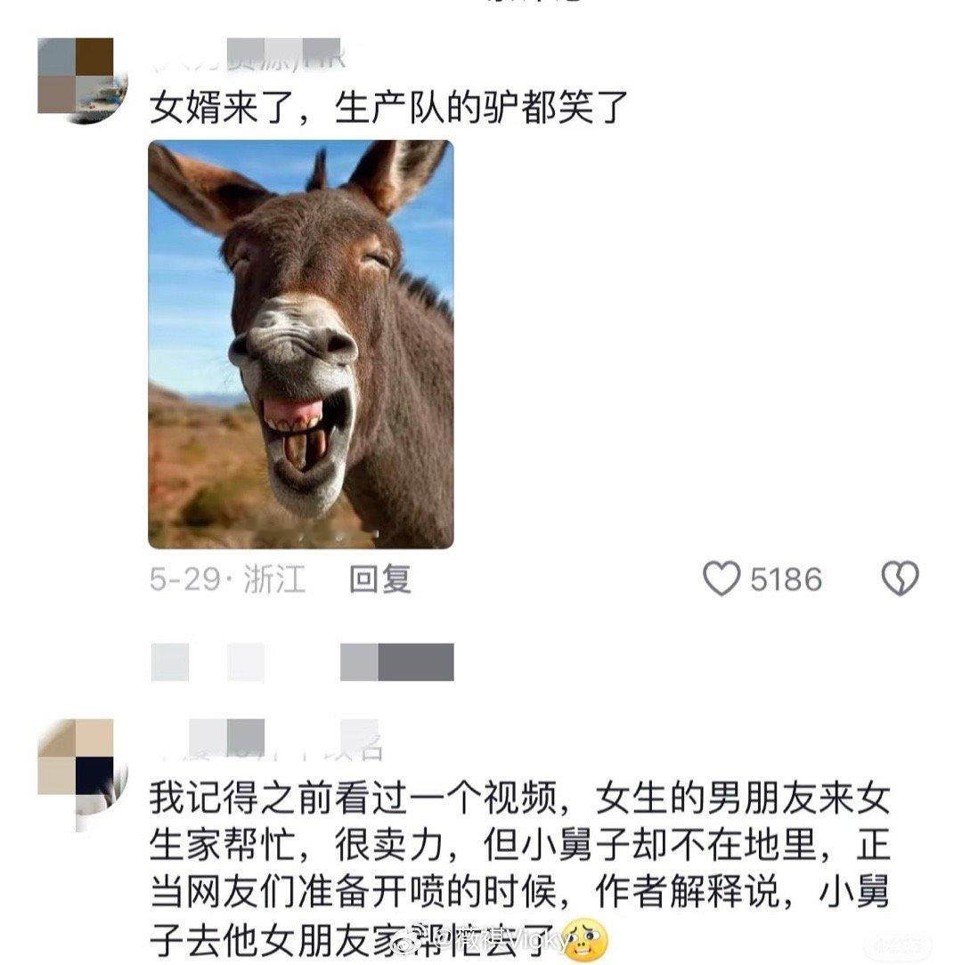 未过门的女婿比驴还能干 【 男生去女友家过年啥活都会干 ，网友：今年不努力，明年