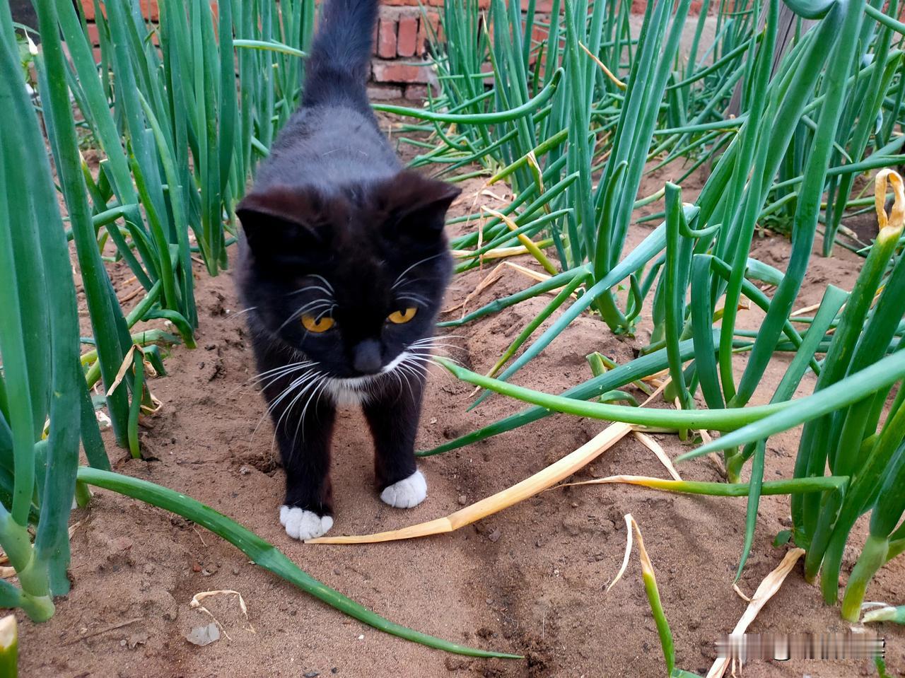 外卖超时了你会给差评吗不会的，他们都很辛苦。我不打别人的饭碗。他们也一定不愿意晚