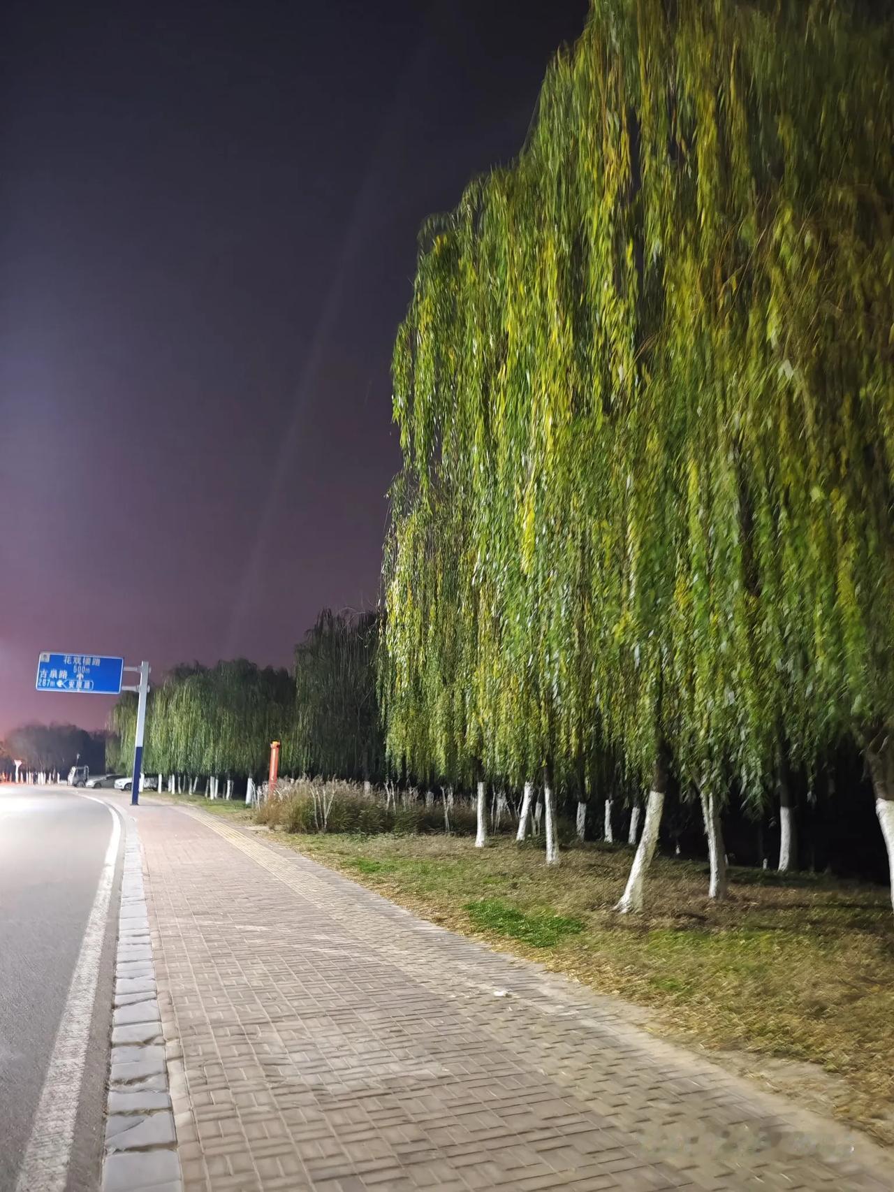 冬日生活打卡季