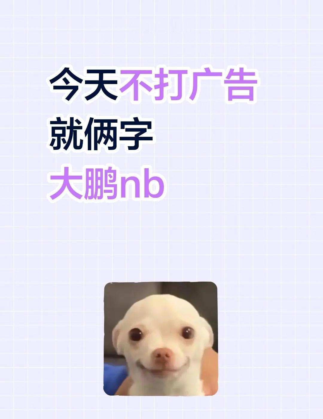 大鹏：我没有学过导演，我是拍短视频被大家。从北漂草根，到百花最佳导演。没有天赋加