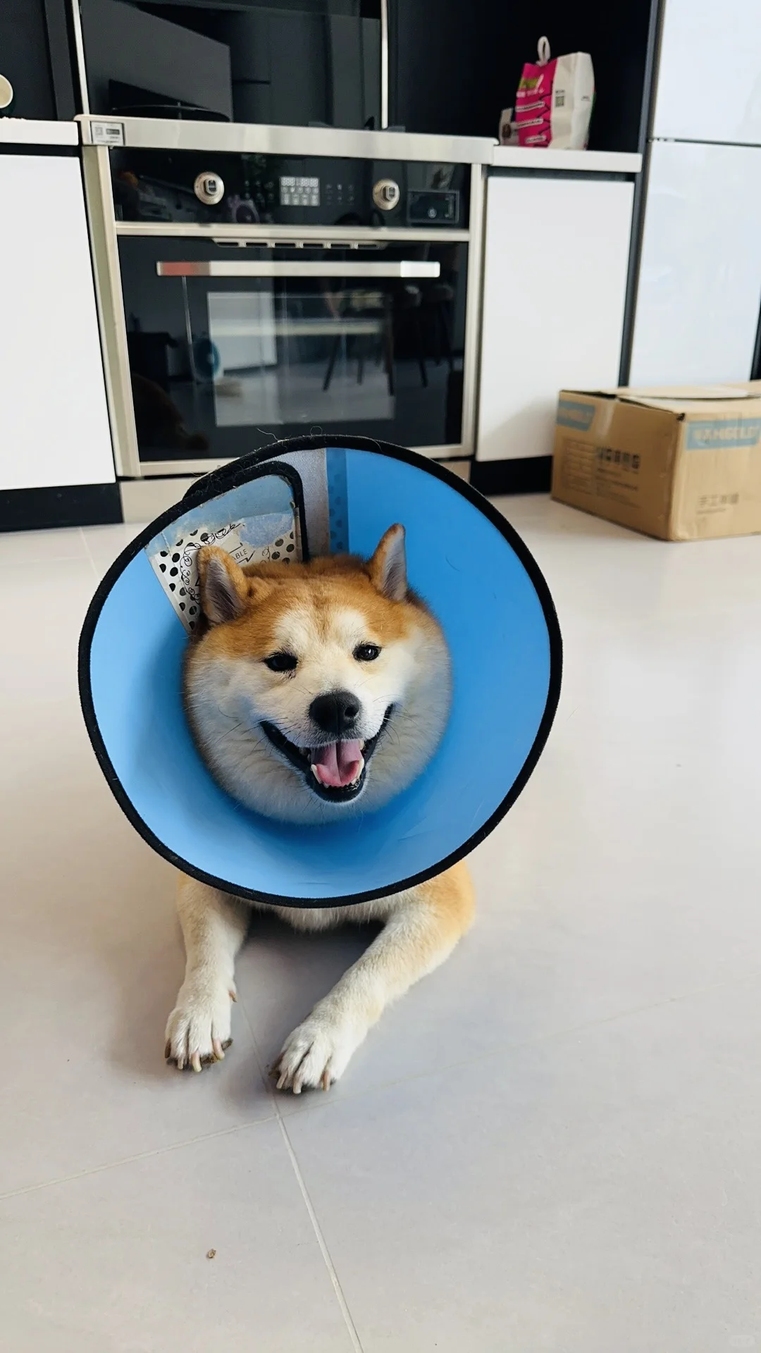 病号小胖子
