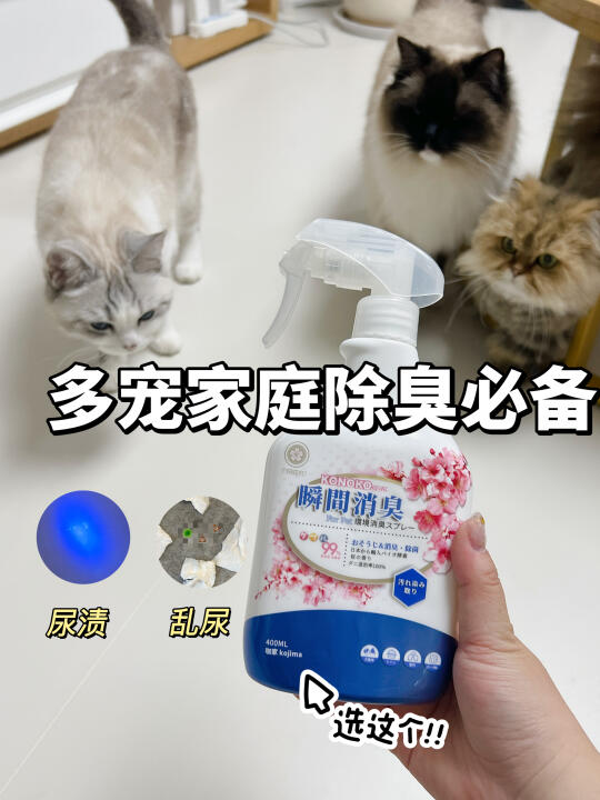 养猫人除臭血泪史，它救我老命