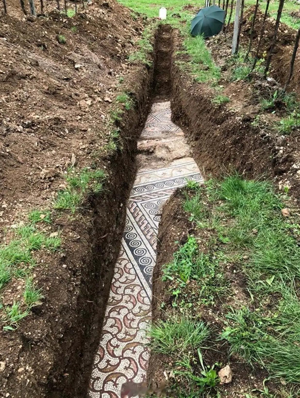 欧洲考古学家在意大利北部，某家葡萄庄园的地底下，发现了块疑似5000年前的马赛克