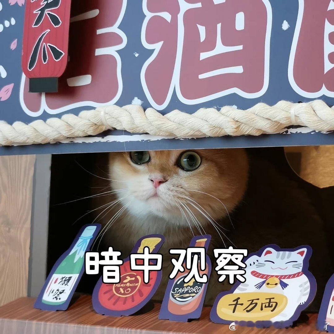骨折是运动损伤中的红色警报很多人运动扭伤之后以为只是普通酸痛，往往忽视骨折风险。