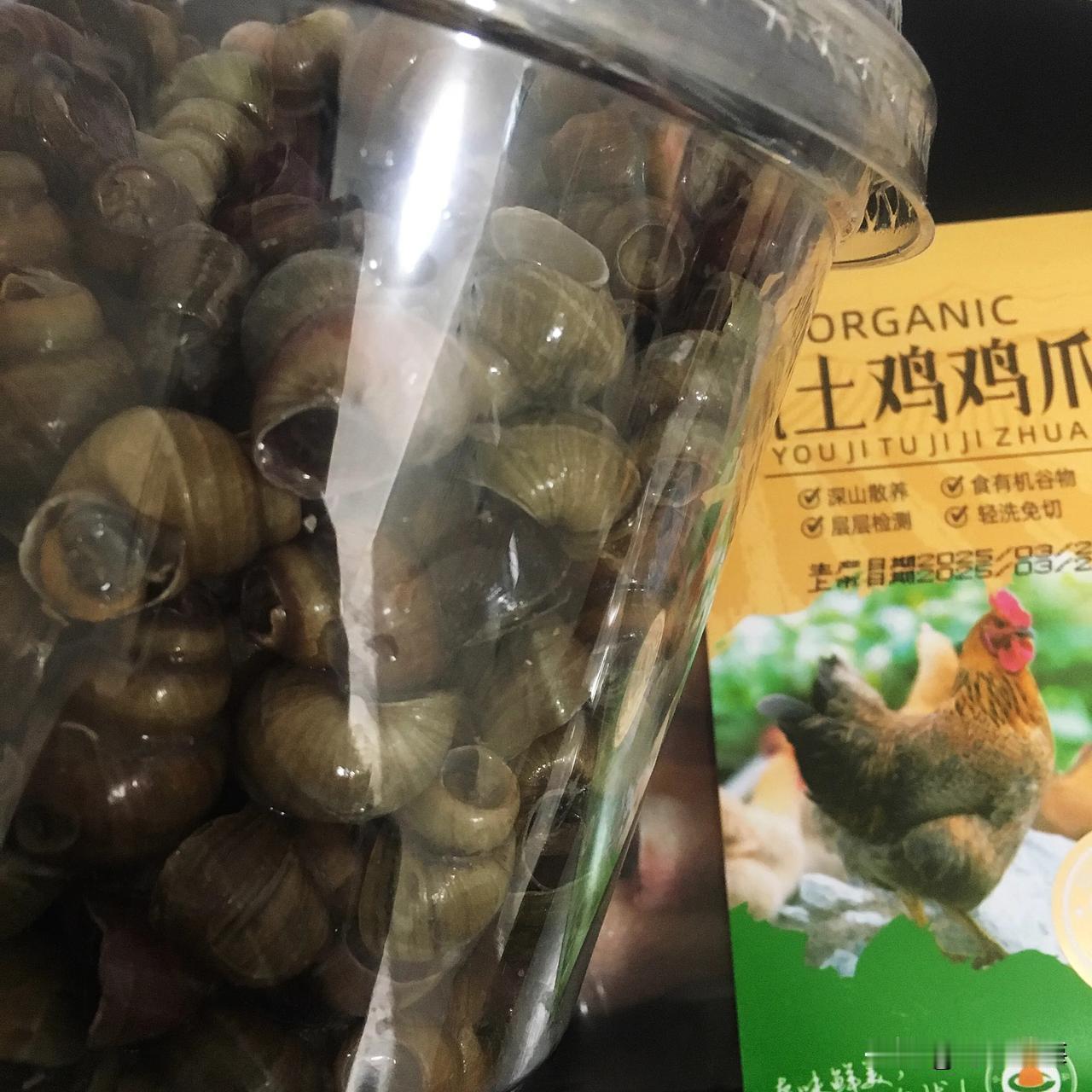 春日生活打卡季