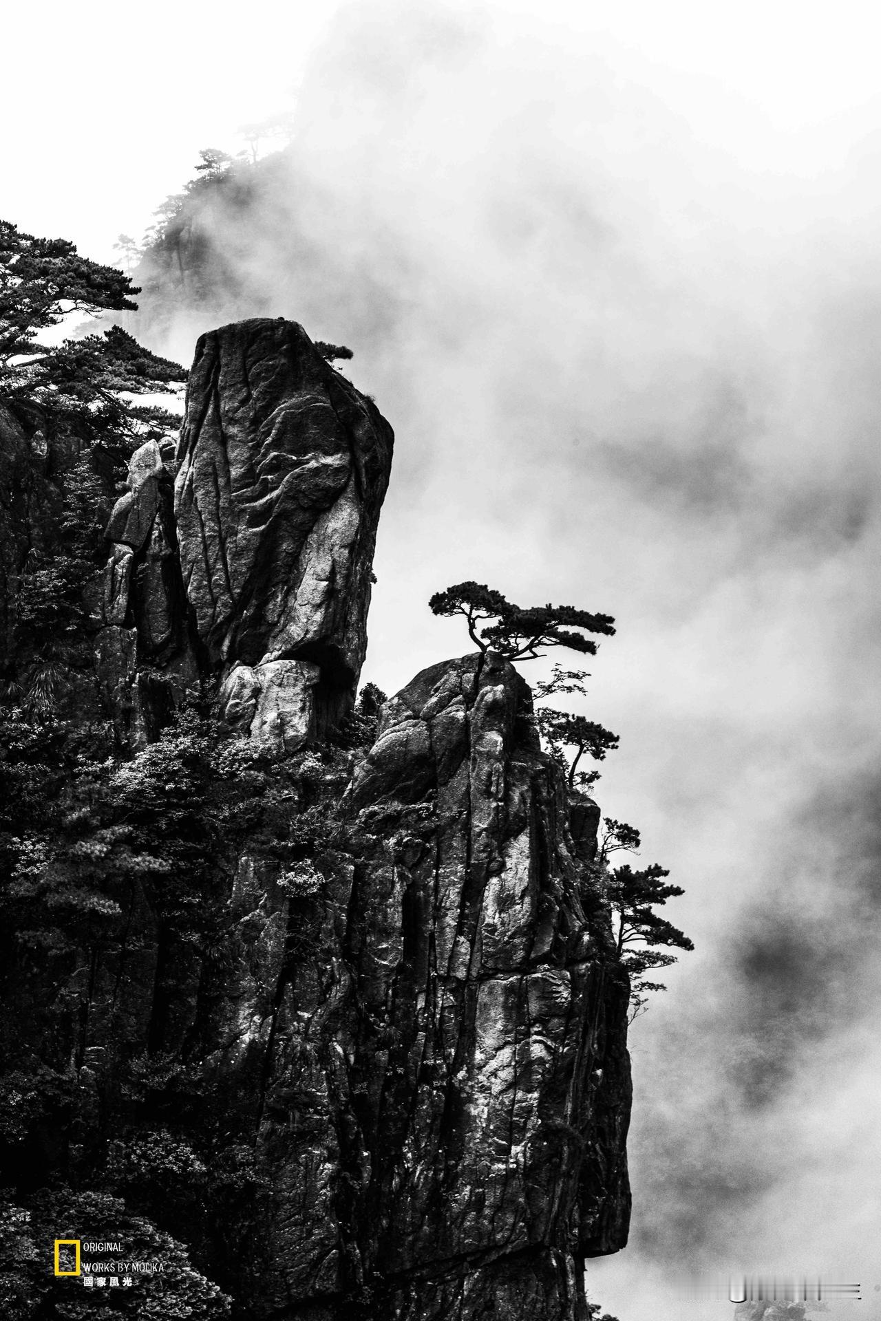 烟雨漫黄山，奇峰入黑白画卷。
嶙峋怪石刺破云雾，苍劲青松傲立崖巅。雾霭流转之间，
