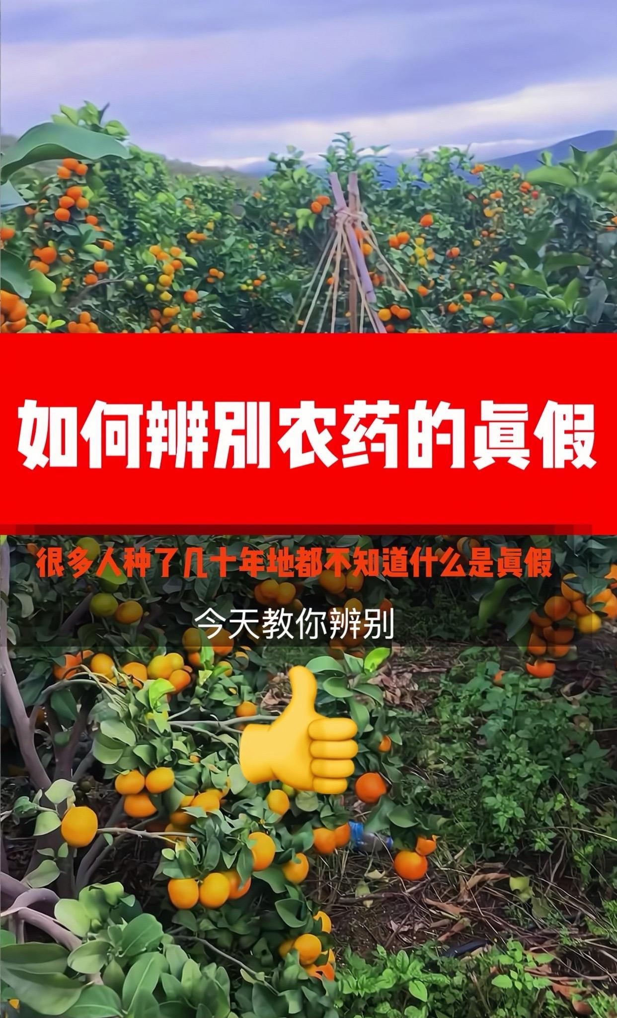 网购需谨慎, 农药认真辨别!柑橘种植 果树管理 农技知识分享 农业技术推广