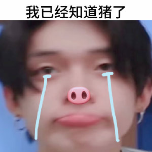 肫已经知道猪了 