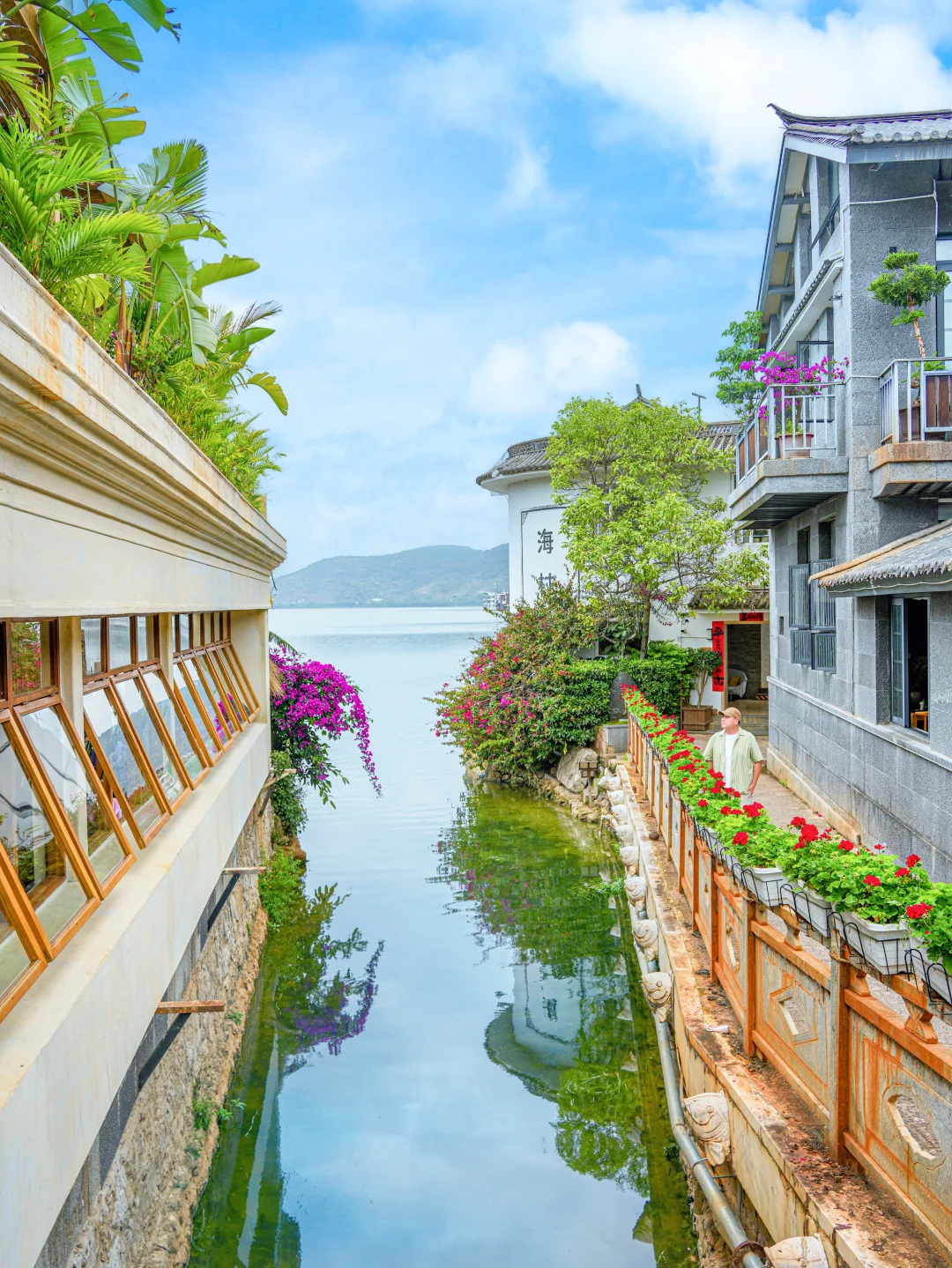 救命‼️大理双廊的神仙玩法被我扒光了