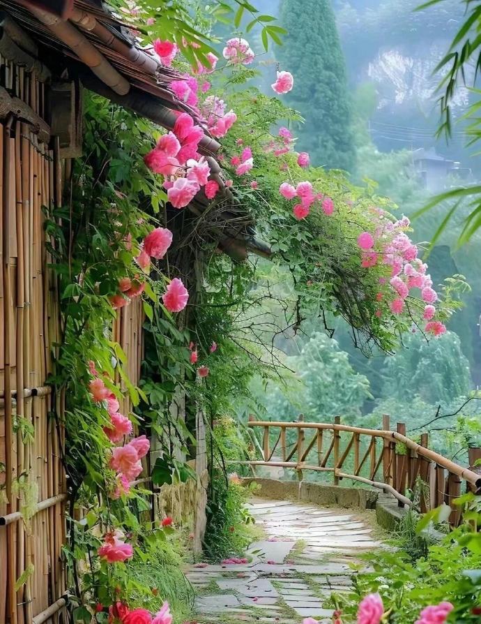 春风若有怜花意，可否许我再少年！ 