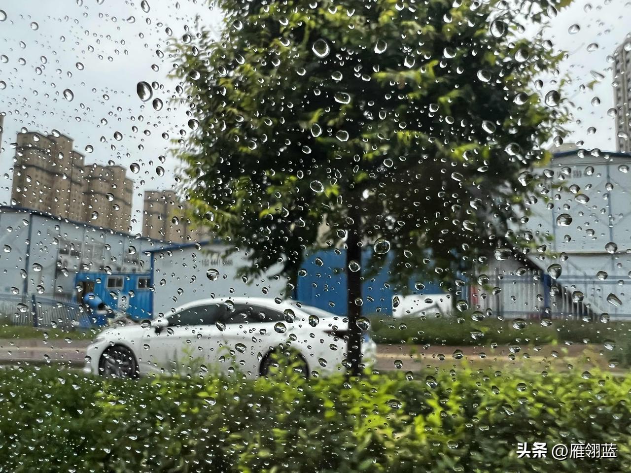 兰州今天下了毛毛细雨，全国各地都是热浪汹涌，而位于大西北的兰州，却是非常的凉爽，
