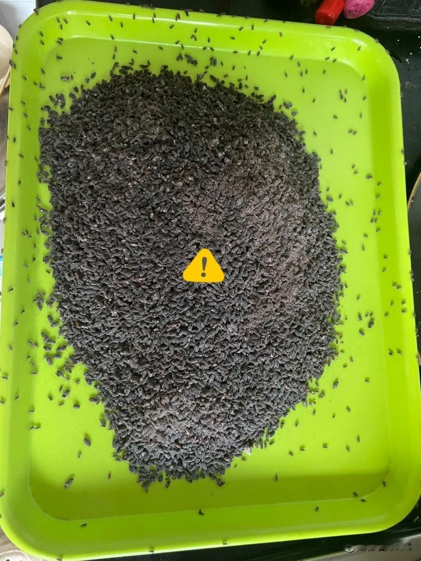 吓人
快看这是什么！
今天我总算找到源头总部了！
我是做梦都没想到啊！有一天我的