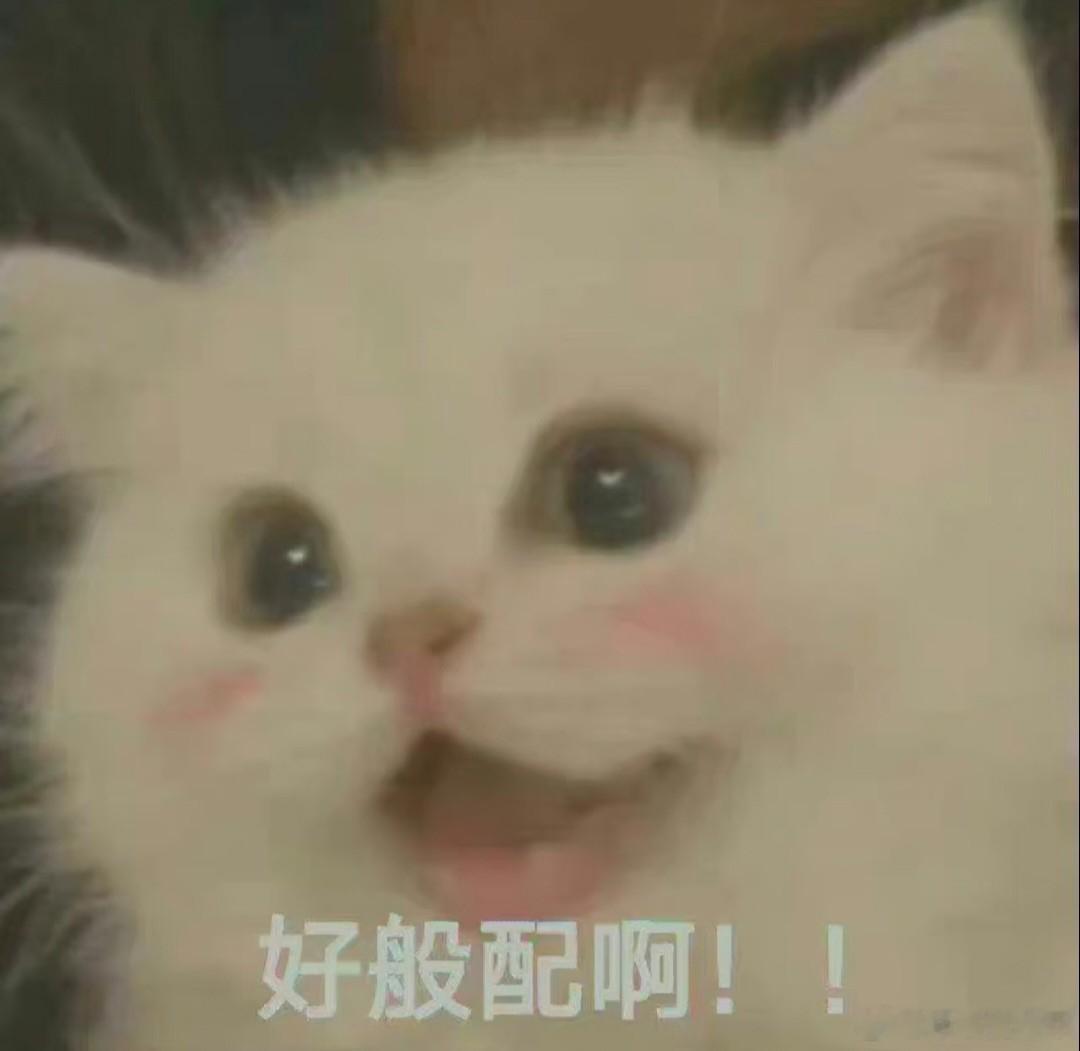 姜潮麦迪娜婚礼还有第二关姜潮麦迪娜的双城婚礼，特意邀请北京厂开玩 担任婚礼超前见