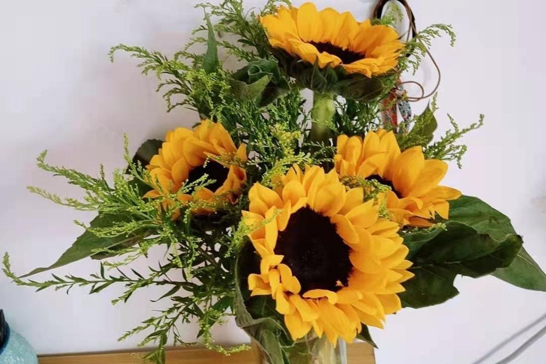 如果你感到辛苦
那就转过来到我怀里躲一躲吧
虽然我比你小，
怀抱也不够大，
不够