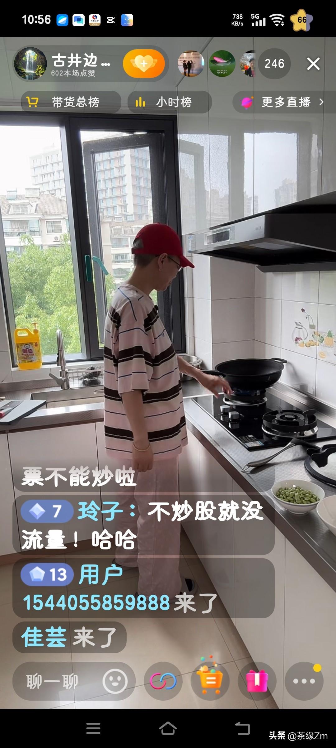 钱没了，饭还是要吃的，烧点鱼汤补补，看看脑袋能不能灵光点。
奶奶的股票又跌了，真