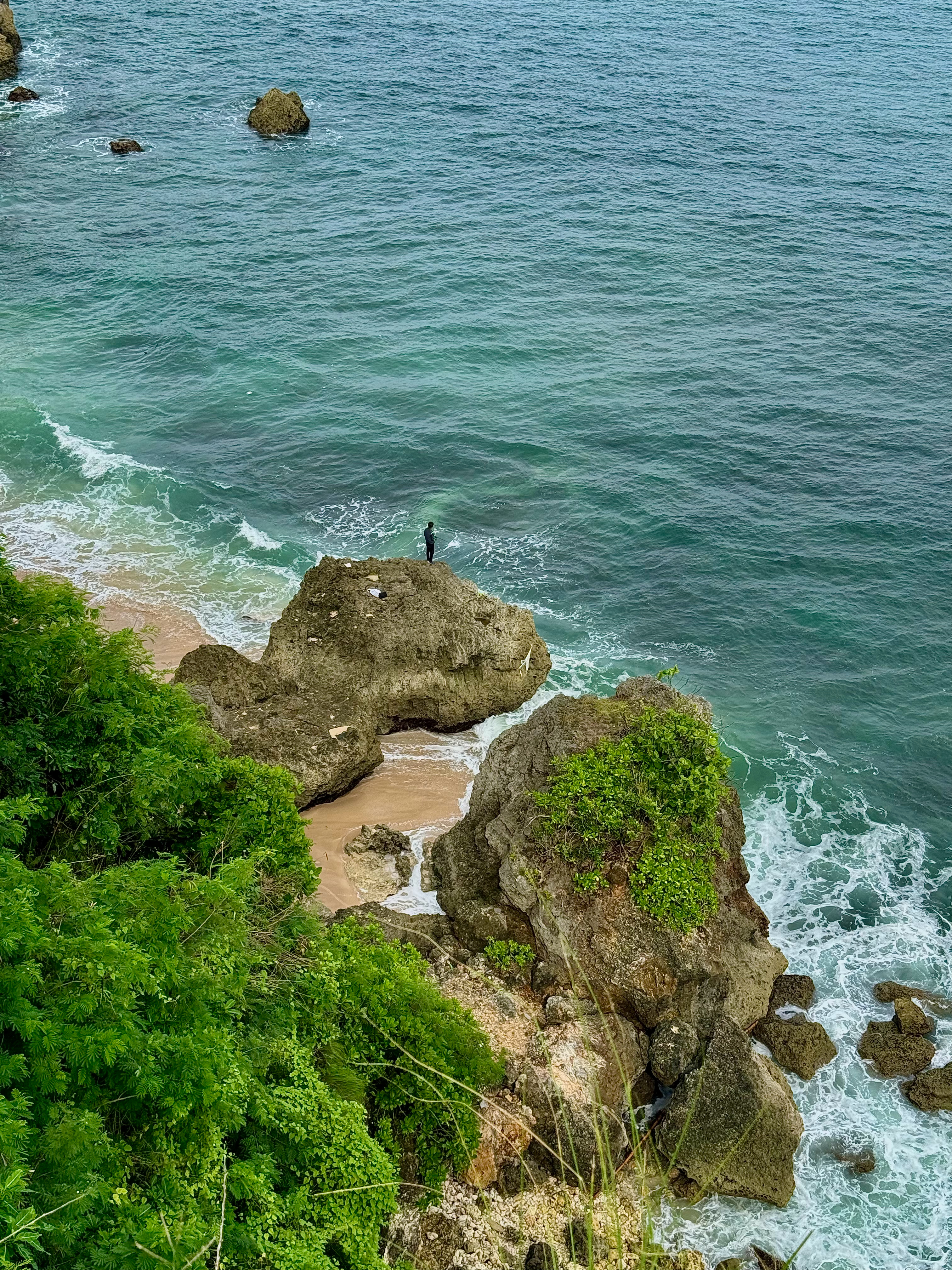 假期库存🌊一次格外特别的春节假期[心]是五彩缤纷滴~黑了 壮实了 更淡了 还进