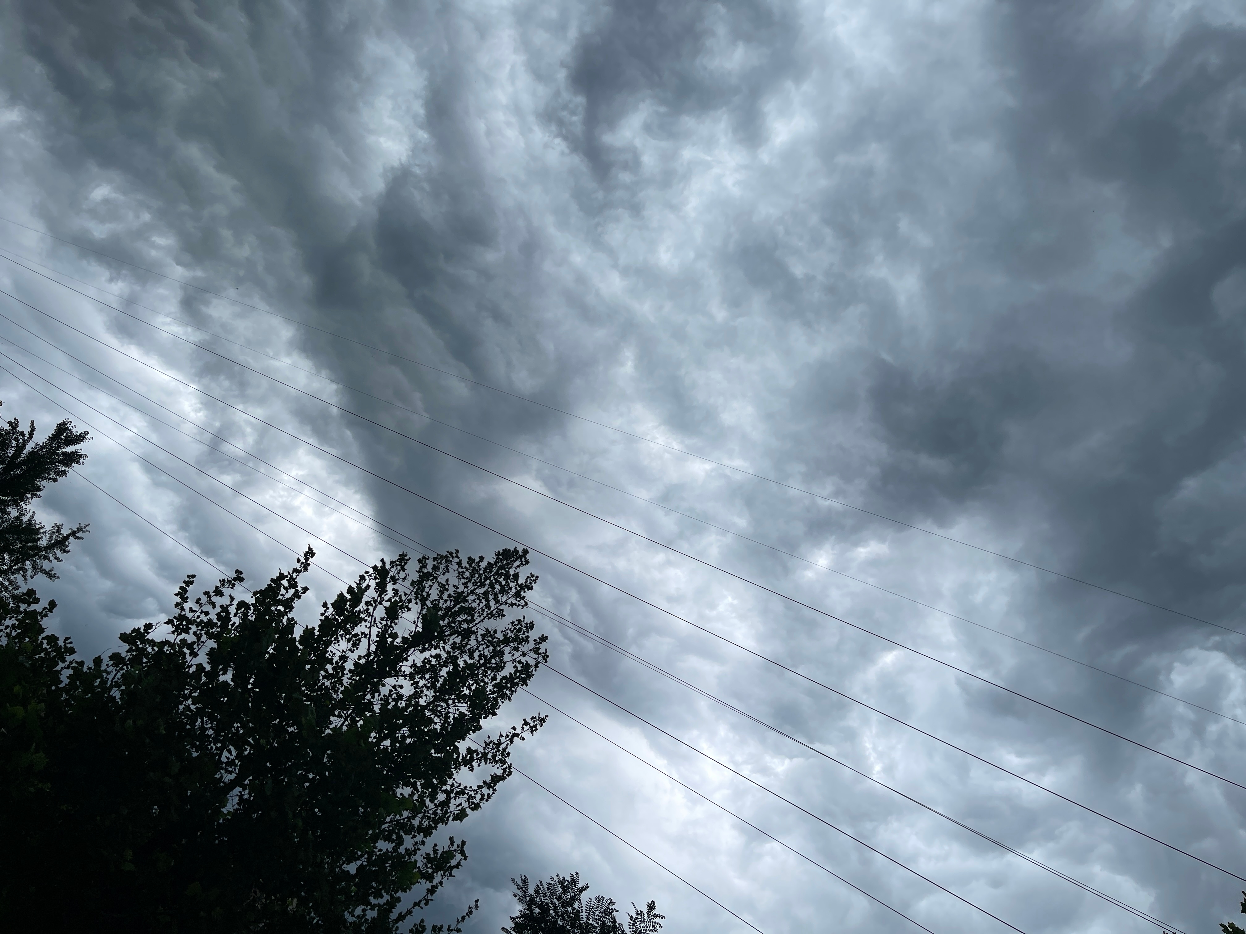 #鲨宝明星精美图片[超话]# 🦋#鲨宝图集库# 🦋#白鹿# [月亮]晚安啦，