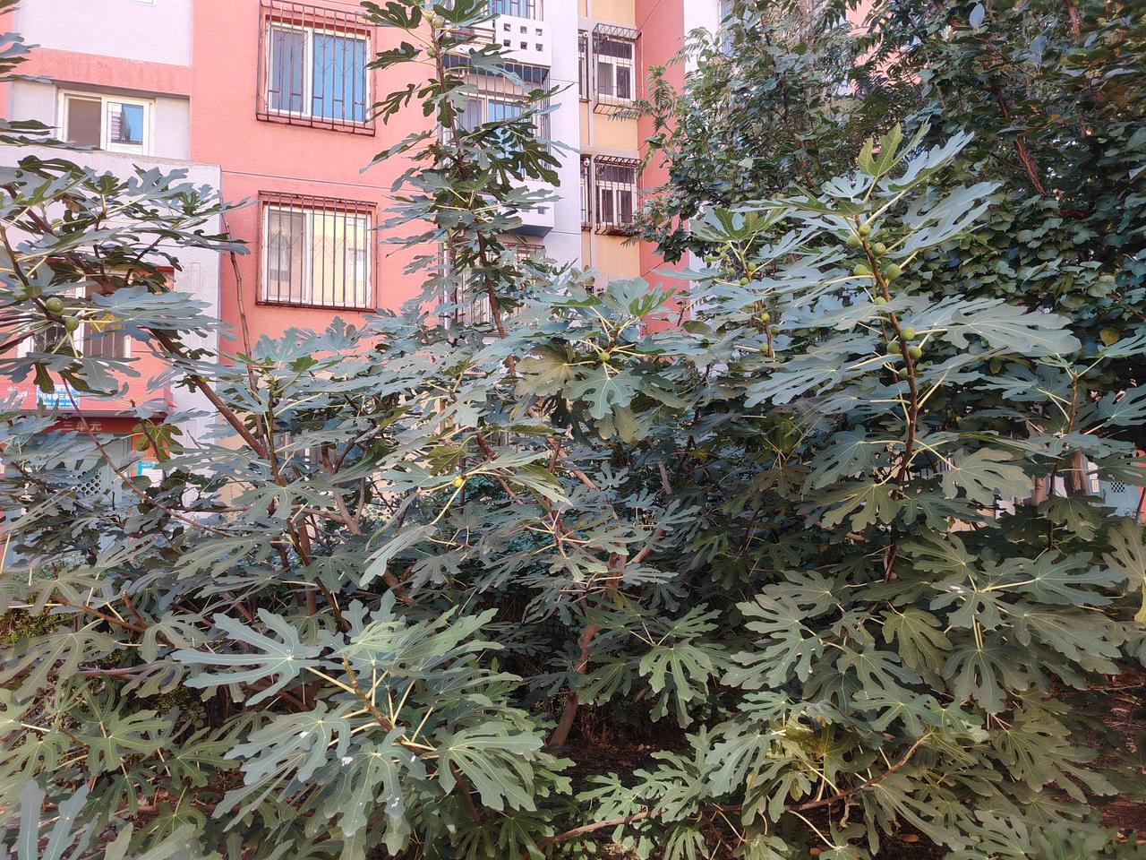晒图笔记大赛自性具足：天高云淡，心亦当如此。不困于昨日，不忧于明日，只将今日活成