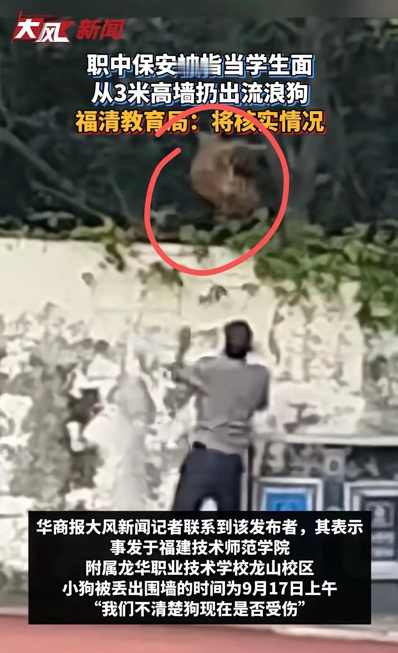 关于校园内流浪狗被保安以极端方式驱逐的事件，引发了公众的广泛关注和激烈争议。作为