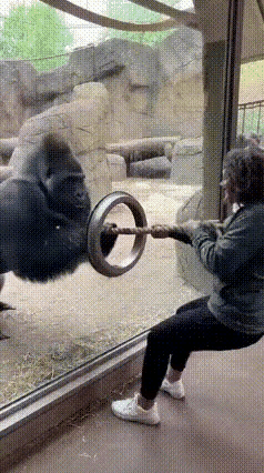 没下山得了一个压寨夫人……凭实力抱得美人归。[捂脸][捂脸][捂脸]