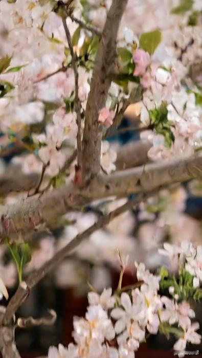  北京豆汁榜来了你敢挑战吗 高德“畅游北京”扫街榜就是旅行神器！对于吃货来说，豆