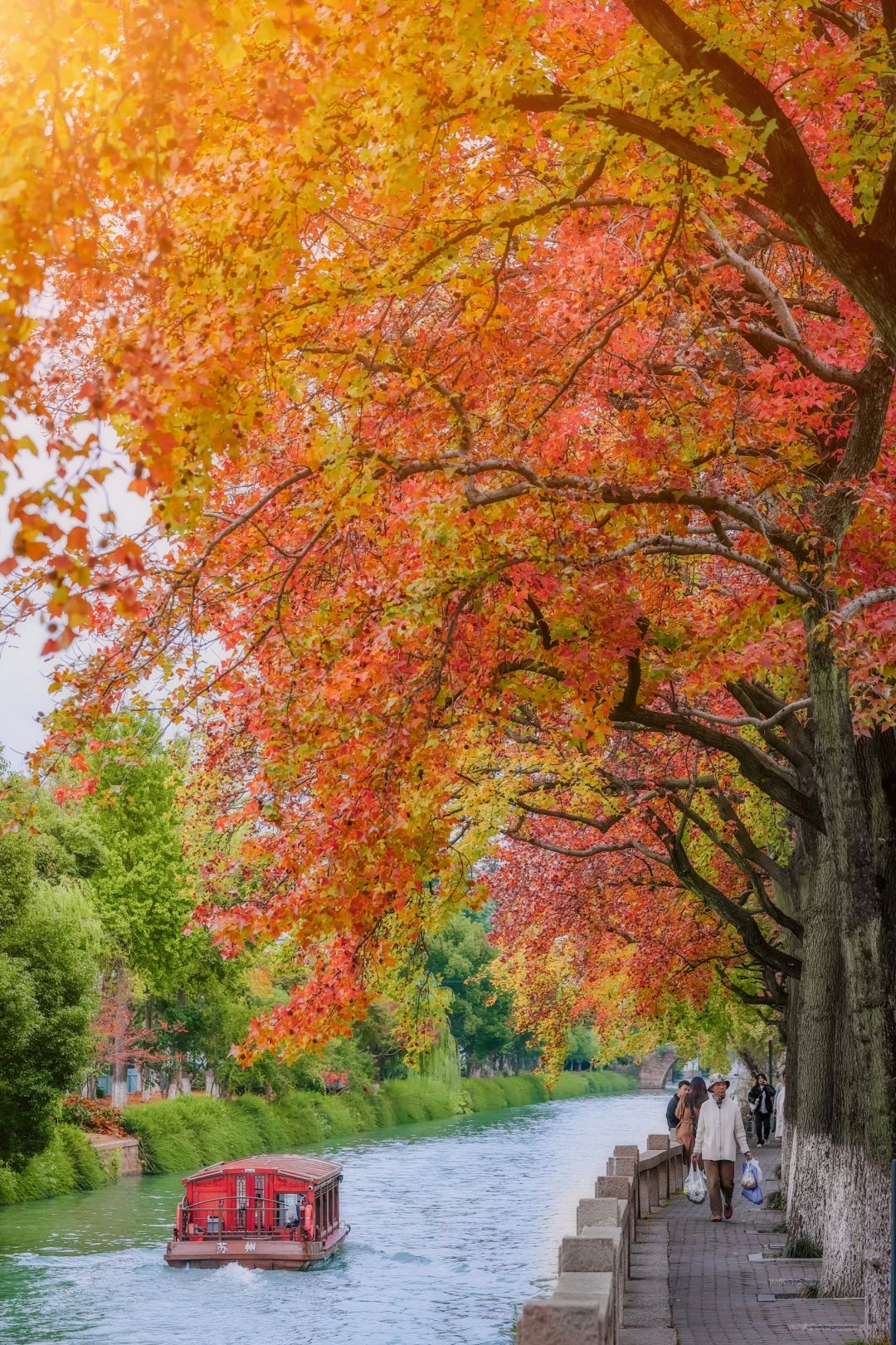 天呐~🍂苏州🍂这里已经🈶了🍁秋天🍁的韵味