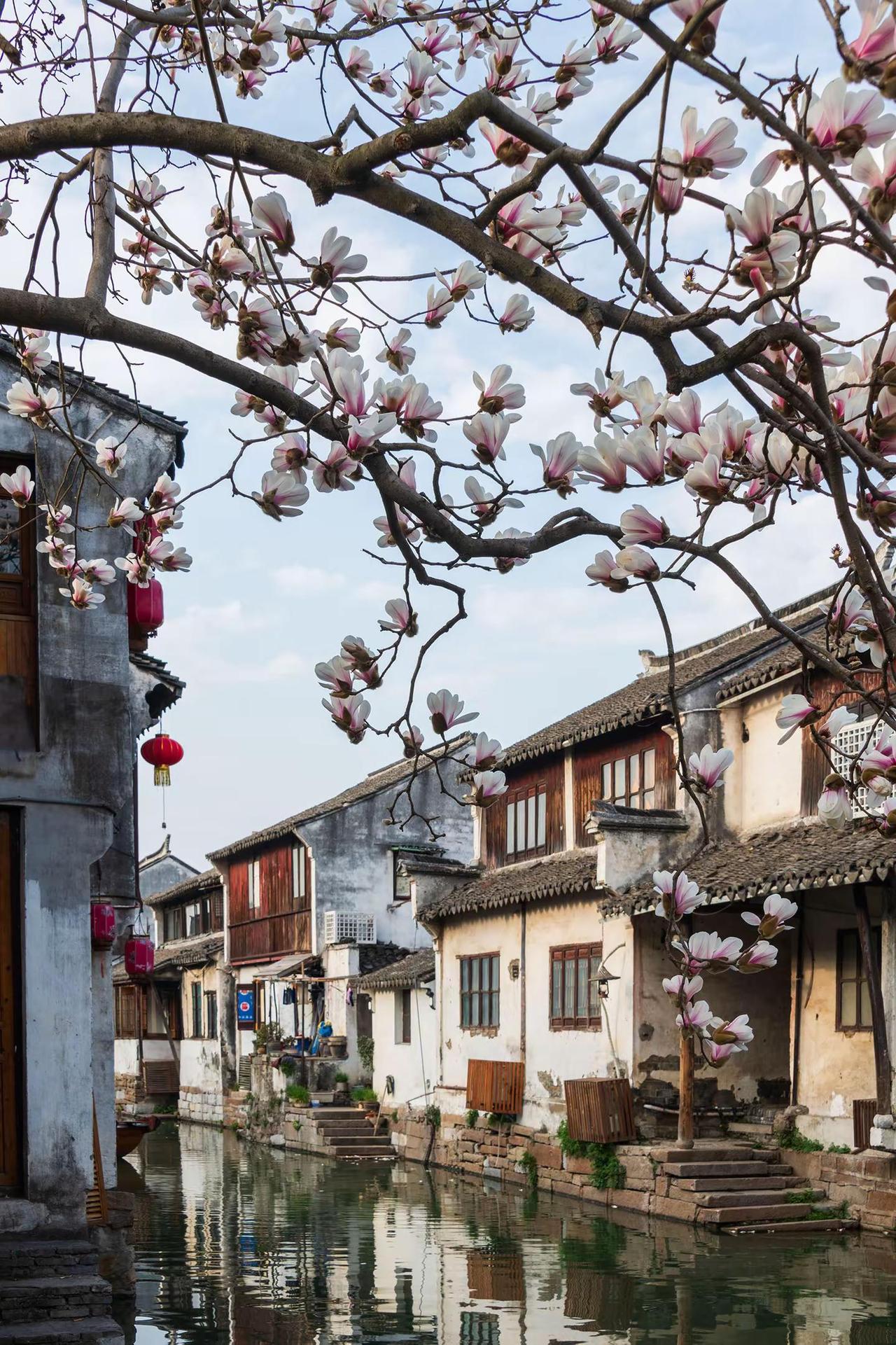 周庄。周庄