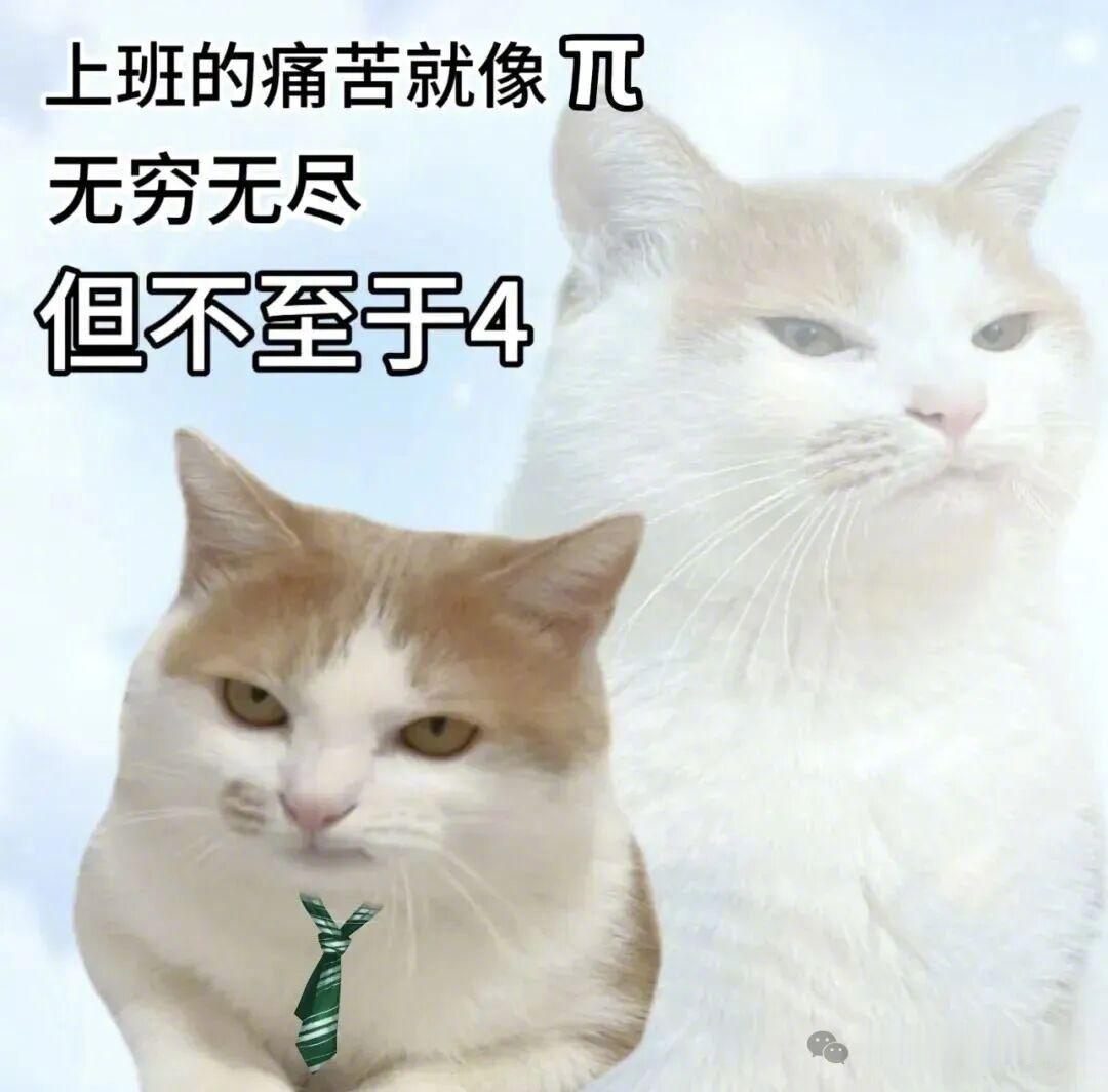过于真实了！ 