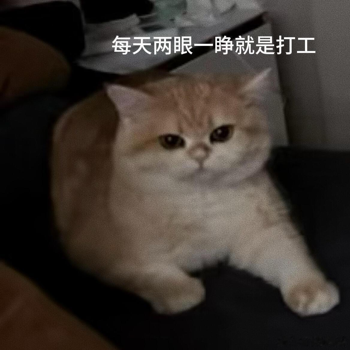 突然发现大家找工作的思路好清晰以前觉得“职业规划”是HR画饼用的词，才发现自己太