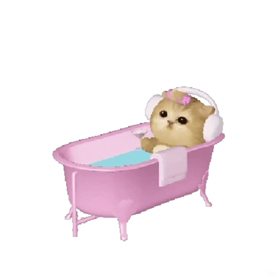 郑朋只是想说 不相干 