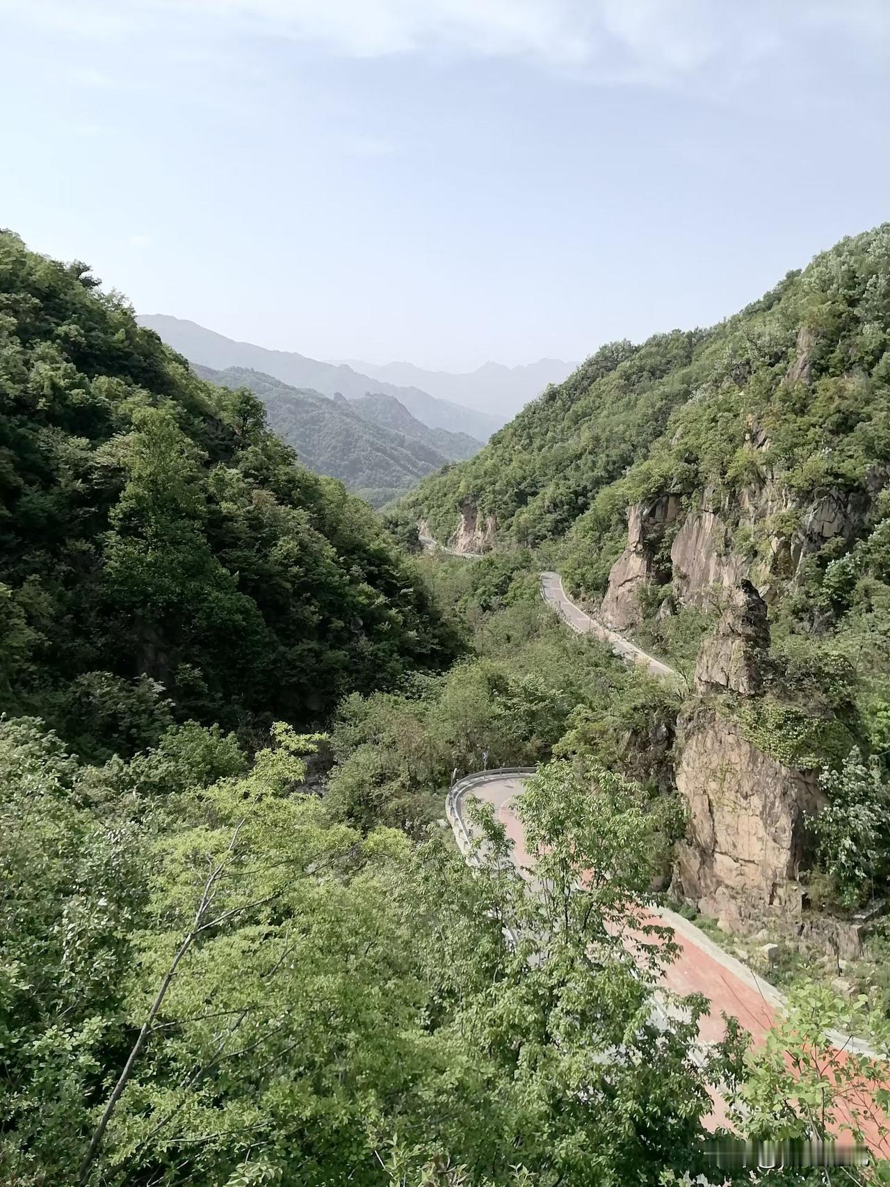 我感觉好多负债的文章都是转发的，有个80后说，他负债800万，现在每天吃酱菜就能