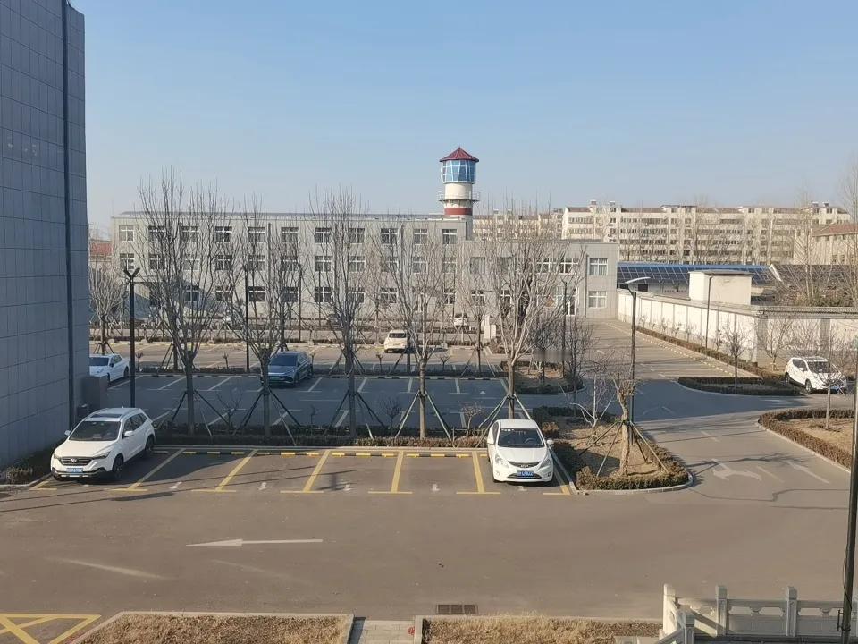 办公室的窗外就像一幅动态画卷。我办公室窗外，有几棵高大的银杏树。春天，嫩绿的叶子