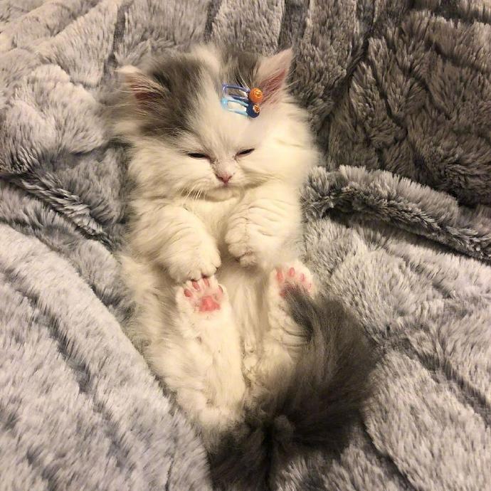 一位戴着发卡的小妹妹，怎么可以这么可爱..！